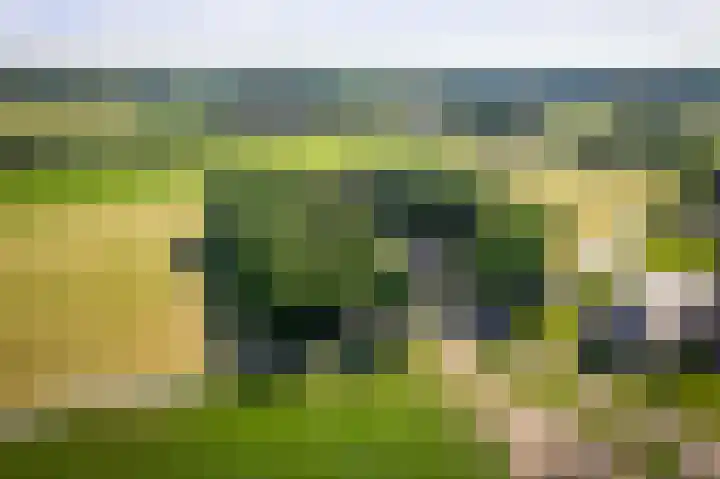 Domineesteeg 2 Gorssel thumbnail 60