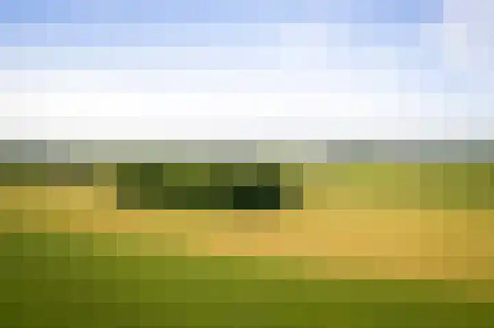 Domineesteeg 2 Gorssel thumbnail 62