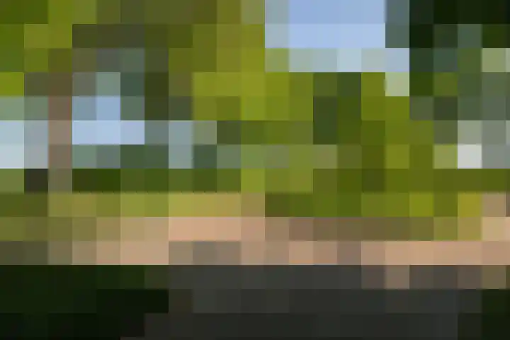 Domineesteeg 2 Gorssel thumbnail 63