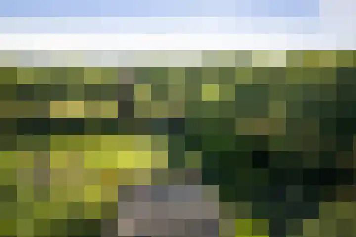 Domineesteeg 2 Gorssel thumbnail 64