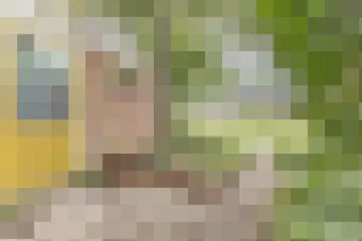 Domineesteeg 2 Gorssel thumbnail 65