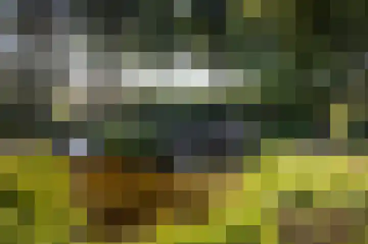 Domineesteeg 2 Gorssel thumbnail 66