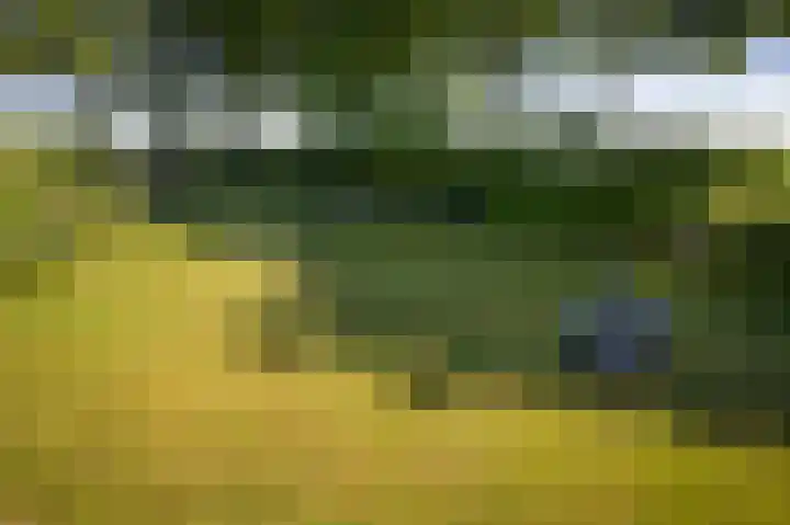 Domineesteeg 2 Gorssel thumbnail 67
