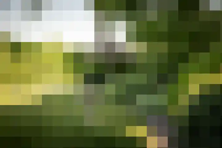 Domineesteeg 2 Gorssel thumbnail 68