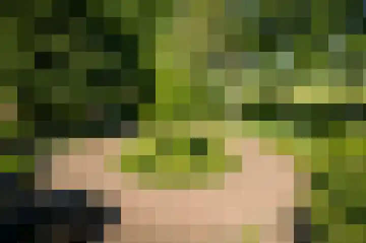 Domineesteeg 2 Gorssel thumbnail 69