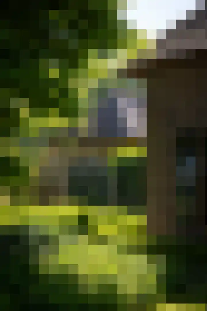 Domineesteeg 2 Gorssel thumbnail 70