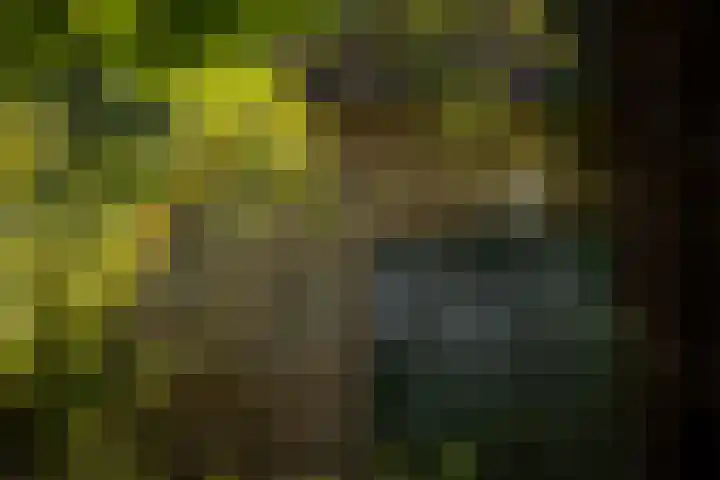 Domineesteeg 2 Gorssel thumbnail 72