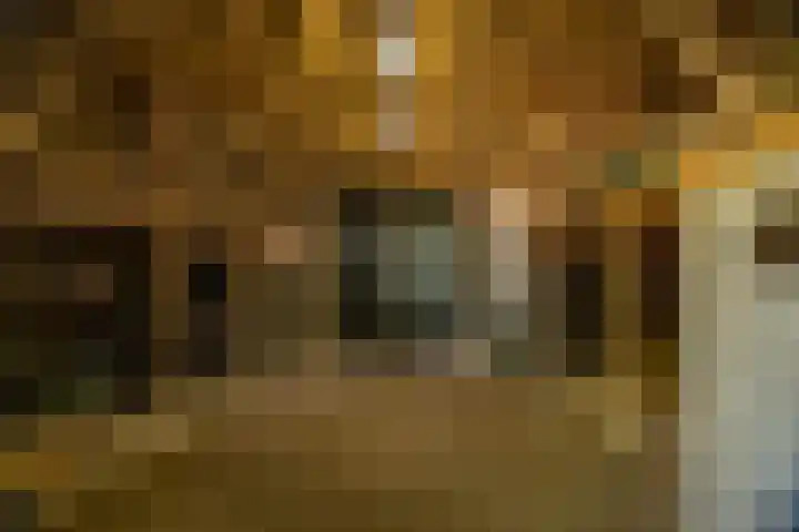 Domineesteeg 2 Gorssel thumbnail 73