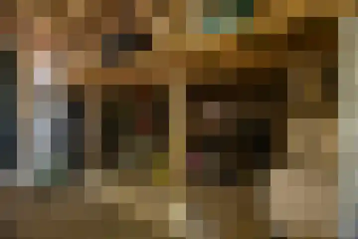 Domineesteeg 2 Gorssel thumbnail 74