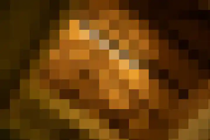 Domineesteeg 2 Gorssel thumbnail 75