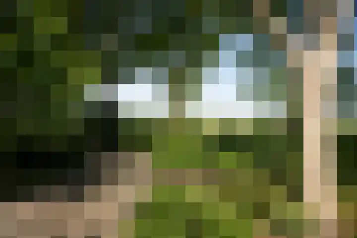 Domineesteeg 2 Gorssel thumbnail 76