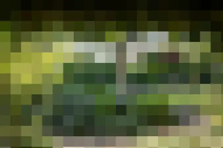 Domineesteeg 2 Gorssel thumbnail 77