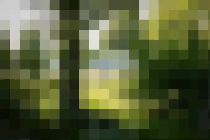 Domineesteeg 2 Gorssel thumbnail 78