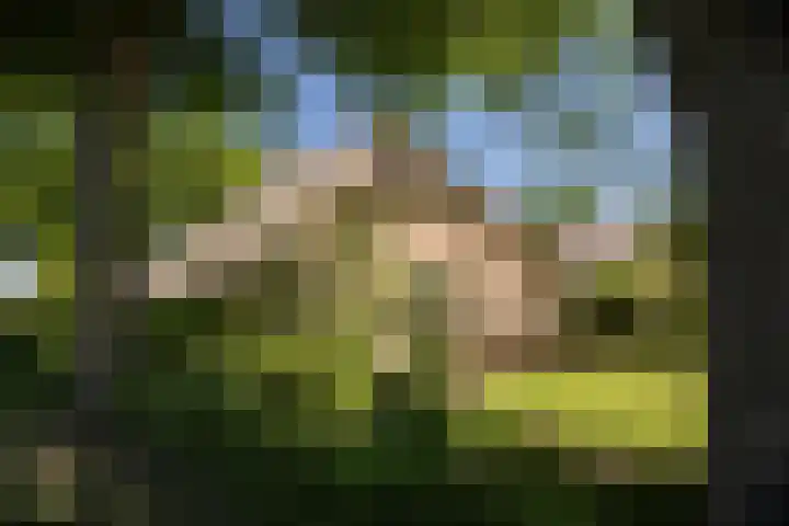 Domineesteeg 2 Gorssel thumbnail 8