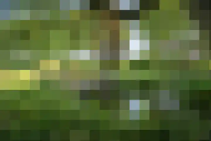 Domineesteeg 2 Gorssel thumbnail 80