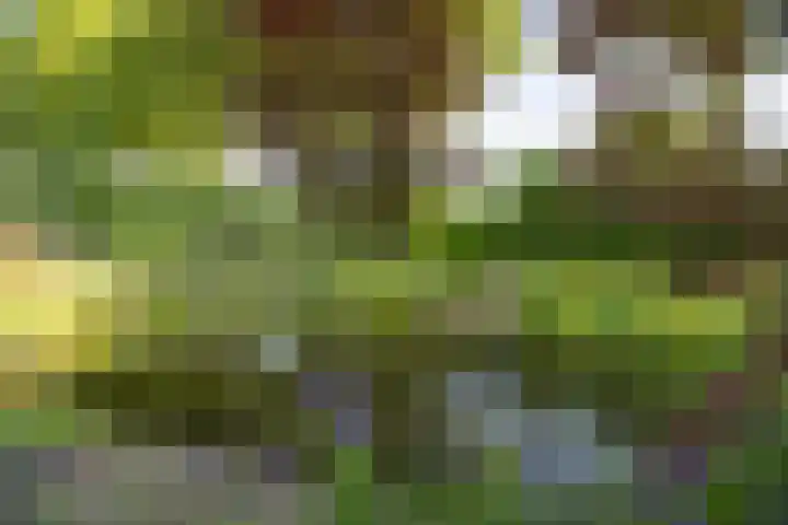 Domineesteeg 2 Gorssel thumbnail 81