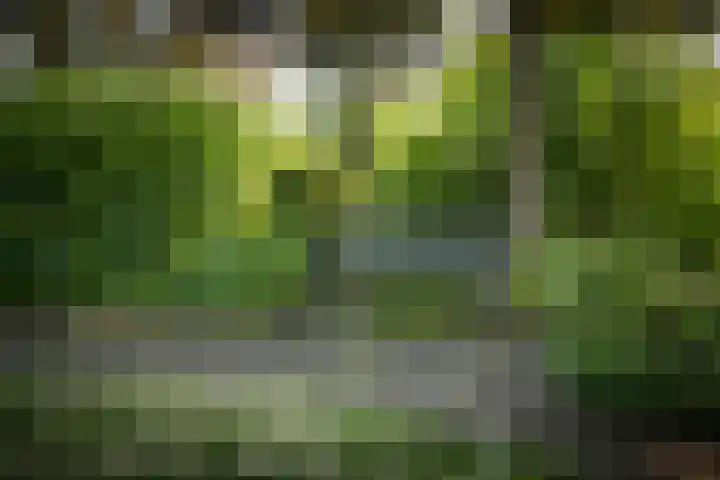 Domineesteeg 2 Gorssel thumbnail 82