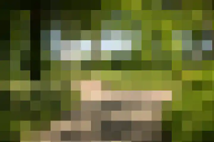 Domineesteeg 2 Gorssel thumbnail 83