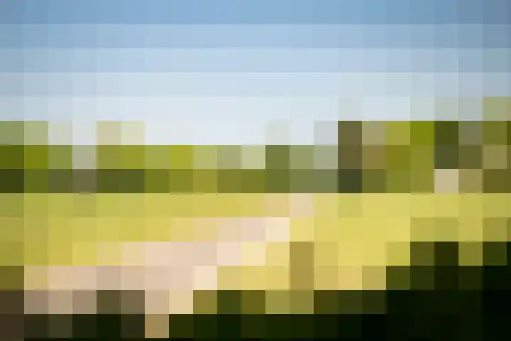 Domineesteeg 2 Gorssel thumbnail 85