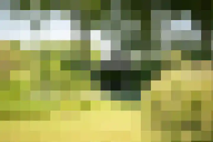 Domineesteeg 2 Gorssel thumbnail 9