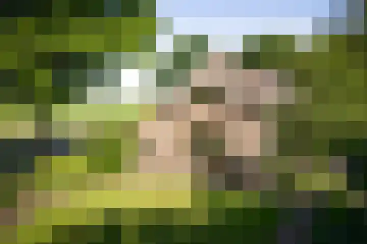 Domineesteeg 2 Gorssel thumbnail 91