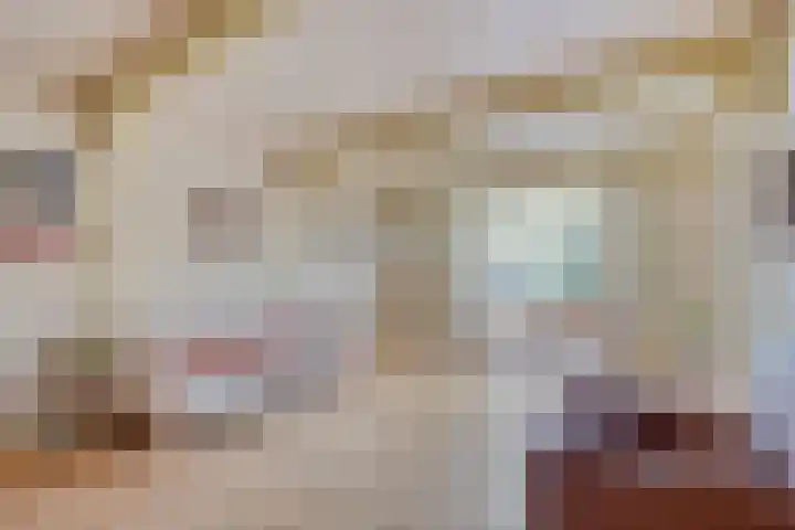 Domineestuin 5 Zaandijk thumbnail 10