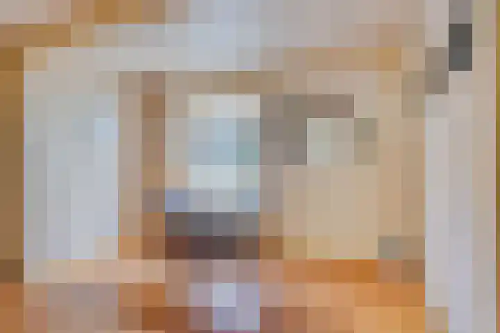 Domineestuin 5 Zaandijk thumbnail 14