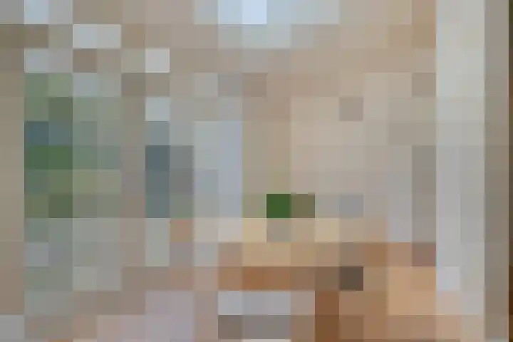 Domineestuin 5 Zaandijk thumbnail 16