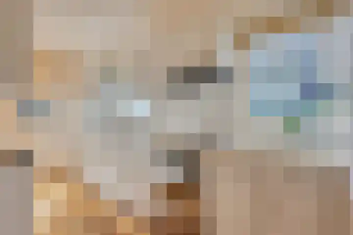 Domineestuin 5 Zaandijk thumbnail 19