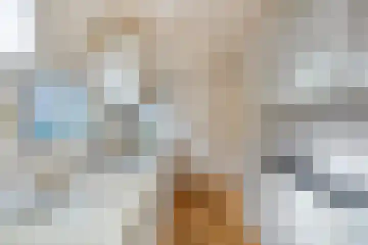 Domineestuin 5 Zaandijk thumbnail 20