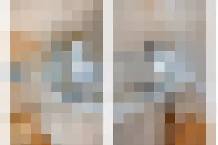 Domineestuin 5 Zaandijk thumbnail 21