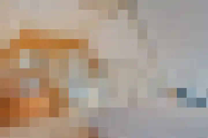 Domineestuin 5 Zaandijk thumbnail 26