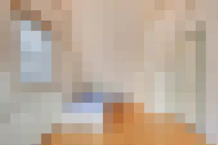 Domineestuin 5 Zaandijk thumbnail 27