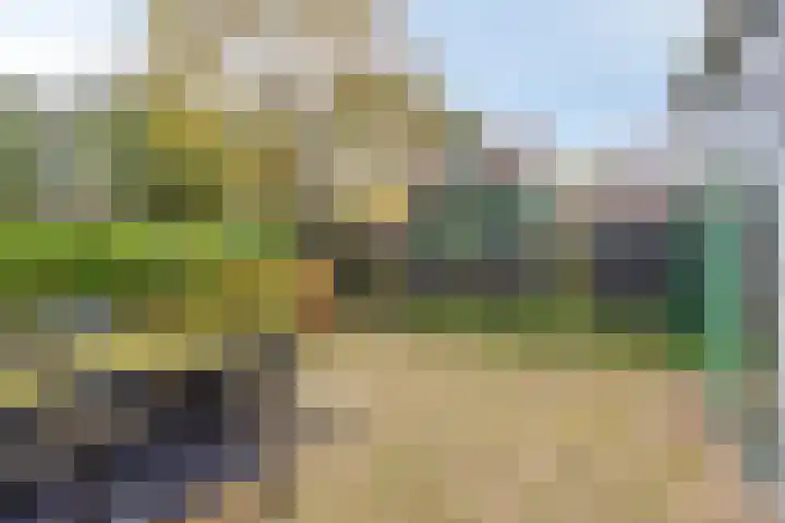 Domineestuin 5 Zaandijk thumbnail 30