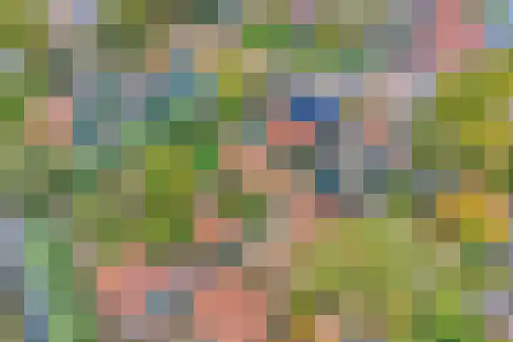 Domineestuin 5 Zaandijk thumbnail 37