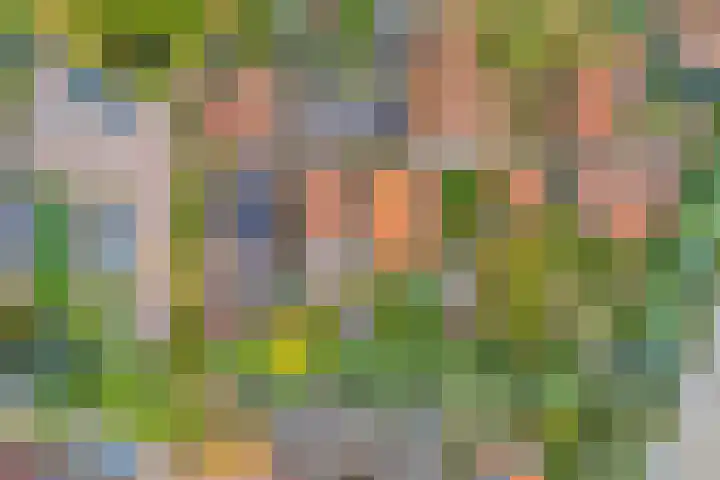 Domineestuin 5 Zaandijk thumbnail 38