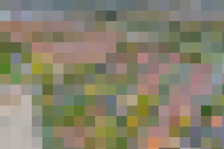 Domineestuin 5 Zaandijk thumbnail 39
