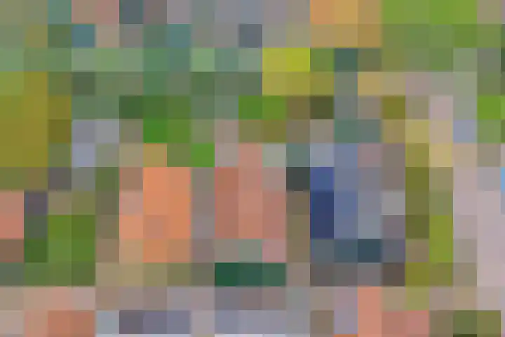 Domineestuin 5 Zaandijk thumbnail 4