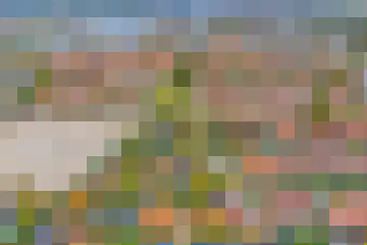 Domineestuin 5 Zaandijk thumbnail 40