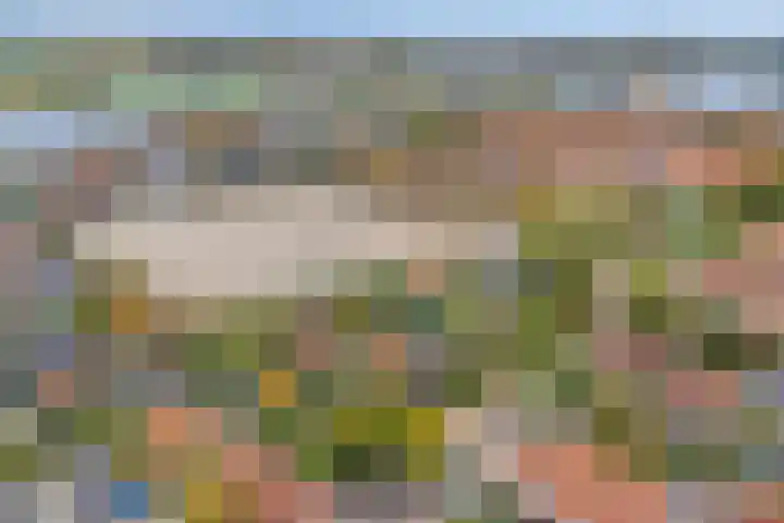 Domineestuin 5 Zaandijk thumbnail 41