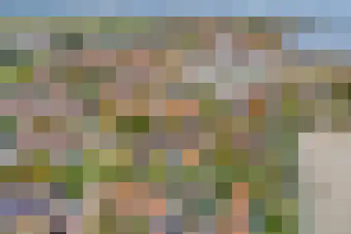 Domineestuin 5 Zaandijk thumbnail 42