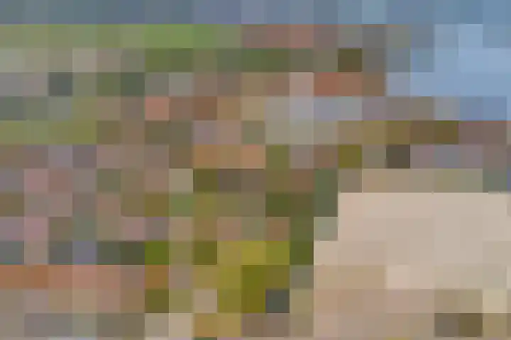 Domineestuin 5 Zaandijk thumbnail 43