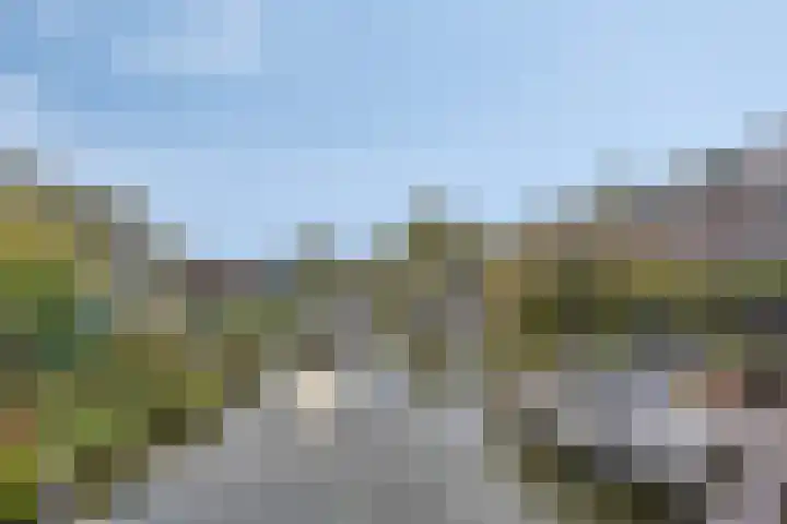 Domineestuin 5 Zaandijk thumbnail 46