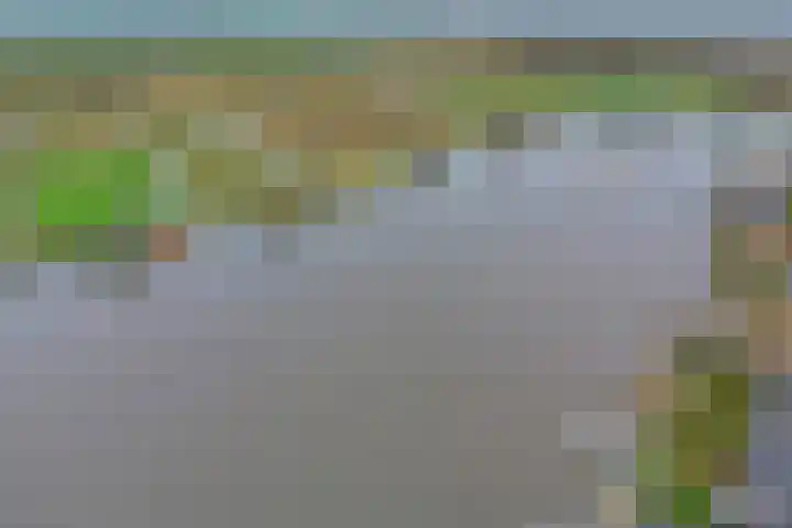 Domineestuin 5 Zaandijk thumbnail 51