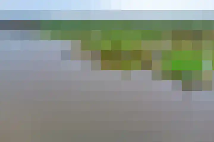 Domineestuin 5 Zaandijk thumbnail 52