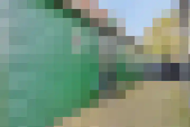 Domineestuin 5 Zaandijk thumbnail 7