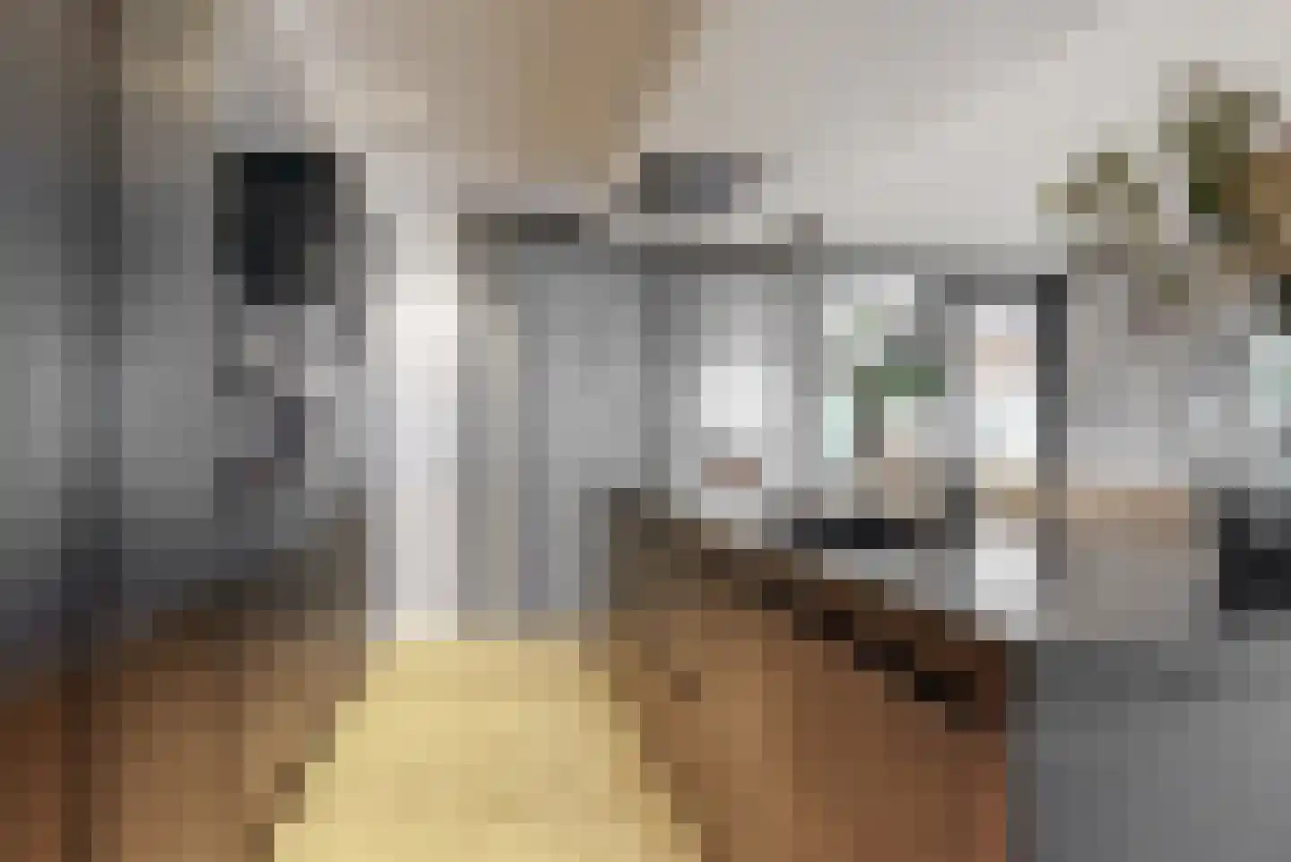 Domineesweg 24 Urk thumbnail 15