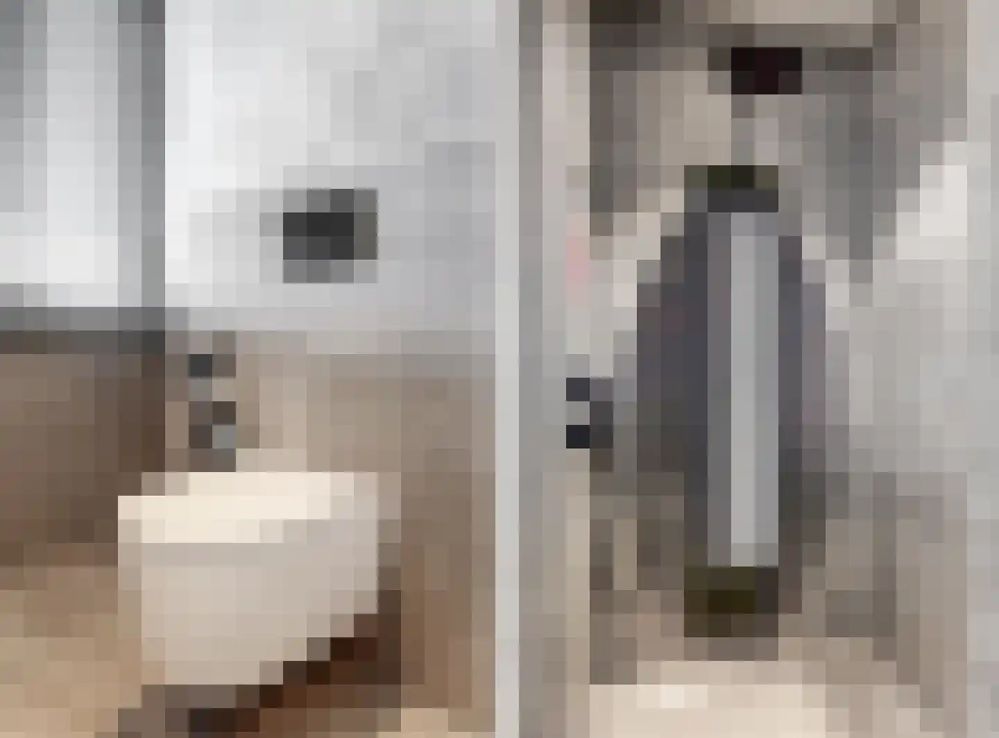 Domineesweg 24 Urk thumbnail 34