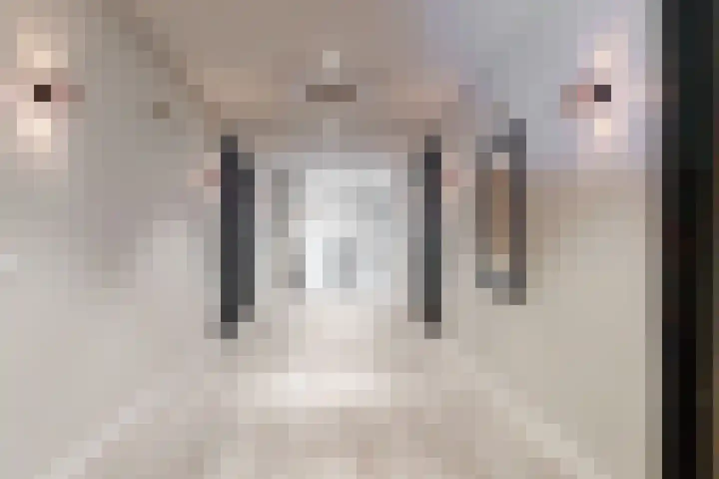 Domineesweg 24 Urk thumbnail 36