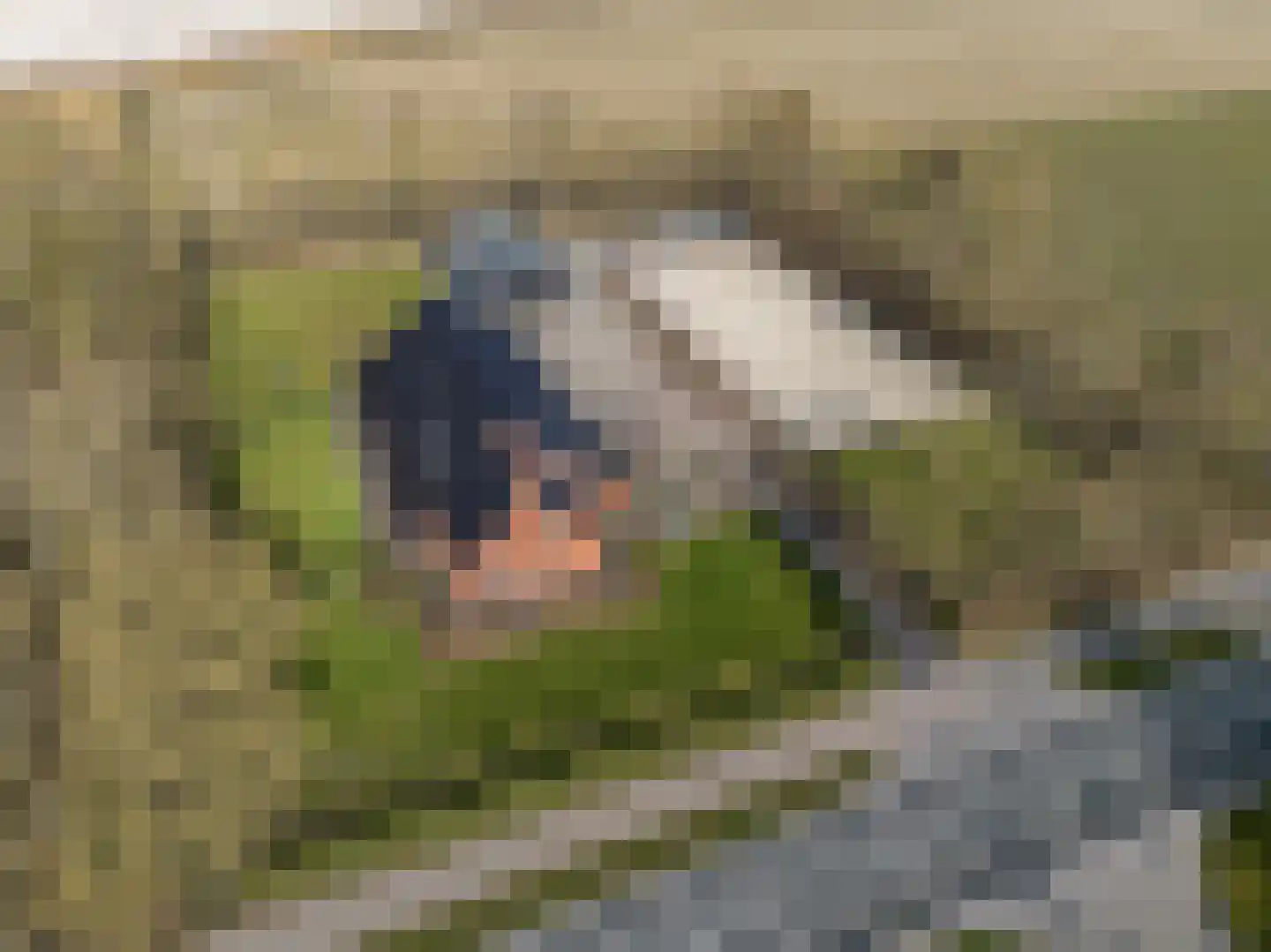 Domineesweg 24 Urk thumbnail 4